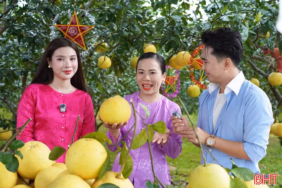 Hà Tĩnh đưa đặc sản quê hương lên sóng Mega Live