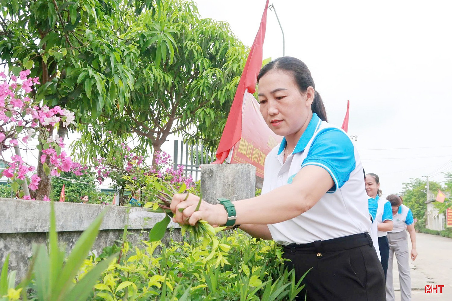bqbht_br_anh-dl6.jpg