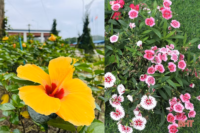 Sắc xanh trong nhà máy nhiệt điện lớn nhất miền Trung