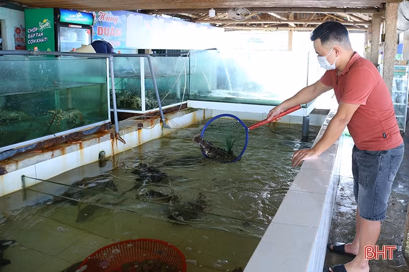 Ngư dân “vui như hội” mùa du lịch biển Hà Tĩnh