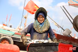 Ngư dân Tiên Điền trúng đậm cá mòi