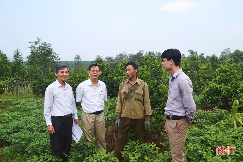Người góp sức “đánh thức” phong trào làm vườn mẫu ở Hà Tĩnh