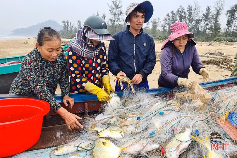 Ngư dân Xuân Yên đánh bắt được nhiều loại hải sản có giá trị