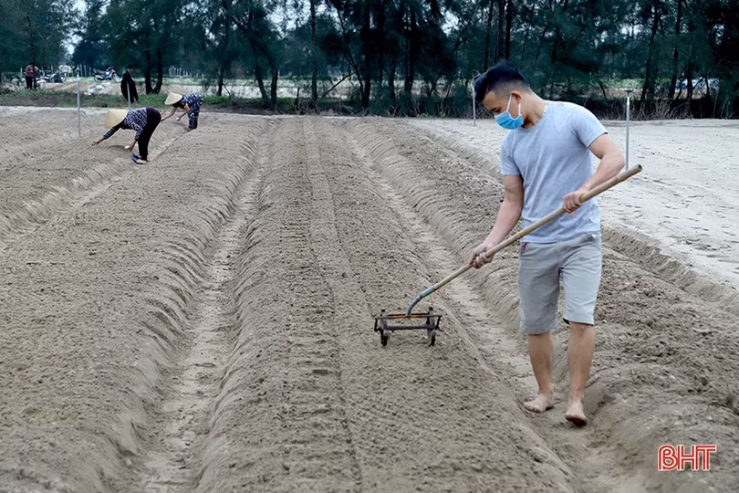 Nông dân Hà Tĩnh khẩn trương ra đồng khôi phục sản xuất