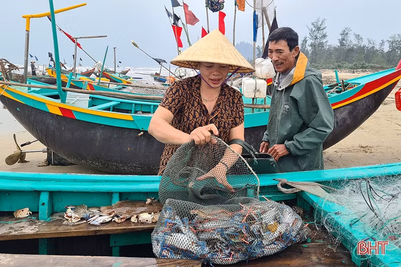 Ngư dân Song Yên vui như hội vì trúng cá chim vàng