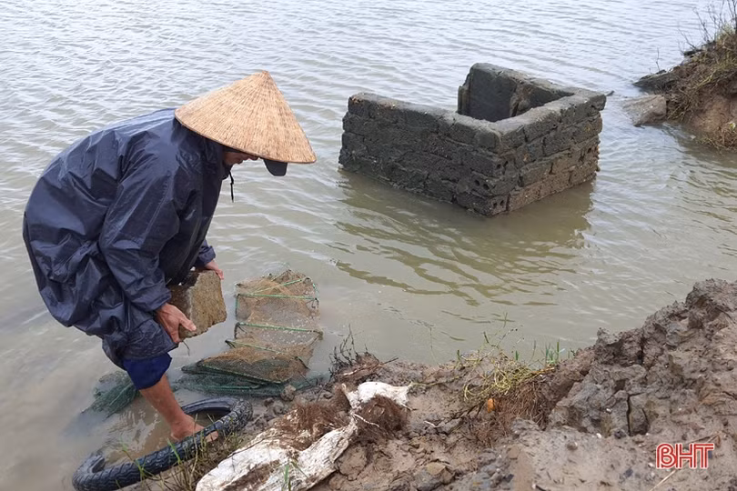 Người nuôi tôm Kỳ Anh trầy trật khôi phục sản xuất sau lũ