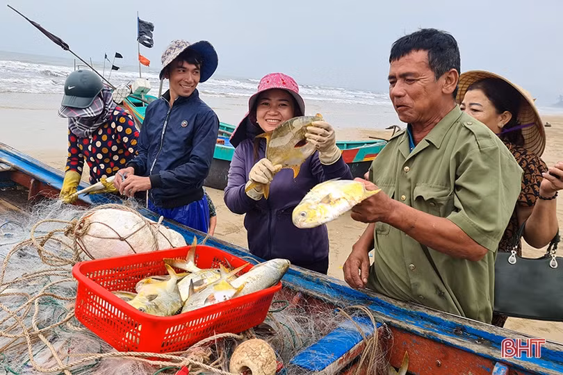 Ngư dân Song Yên vui như hội vì trúng cá chim vàng