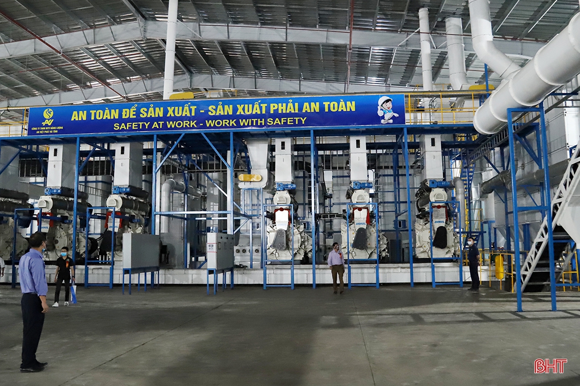 Nhà máy sản xuất, chế biến lâm sản trên 1.287 tỷ đồng tại KKT Vũng Áng đi vào hoạt động