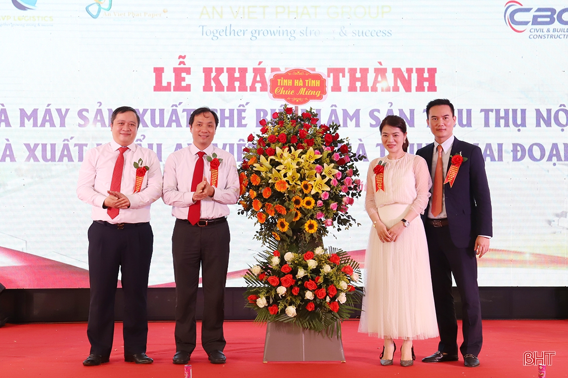 Nhà máy sản xuất, chế biến lâm sản trên 1.287 tỷ đồng tại KKT Vũng Áng đi vào hoạt động