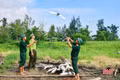 Siết chặt quản lý, quyết tâm ngăn chặn tình trạng săn bắt chim trời 