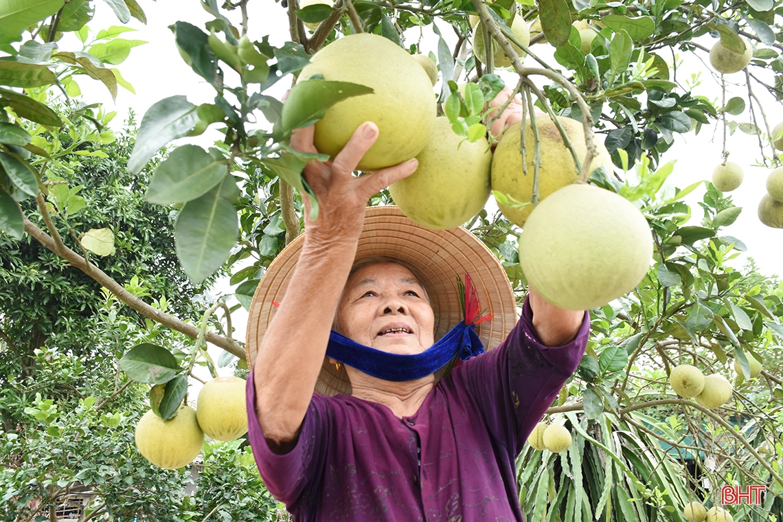 Khám phá “miền quê đáng sống” 4 lần được phong tặng danh hiệu anh hùng ở Hà Tĩnh