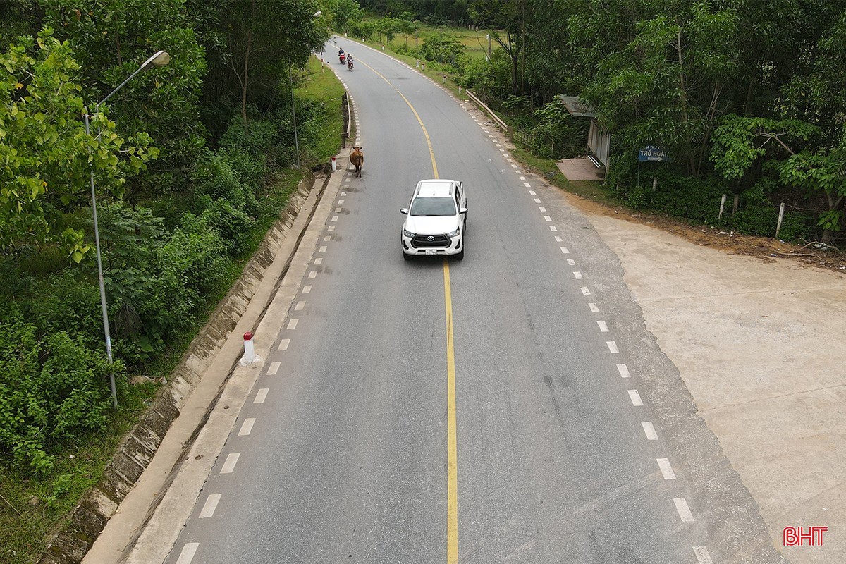 quoc-lo-15-19cv.jpg