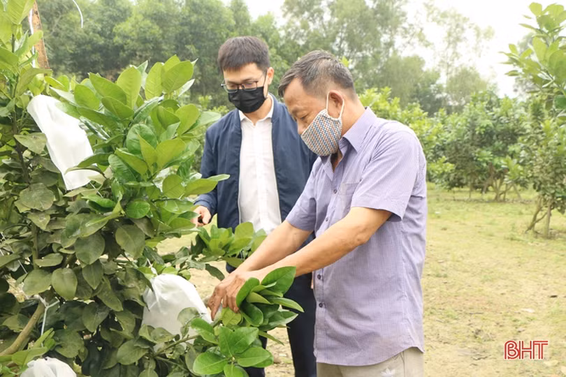 Ngành ngân hàng Hà Tĩnh vững vàng trong “sóng lớn”