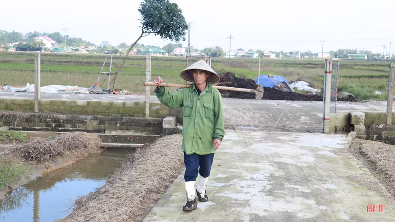 Làng rau La Xá “cướp nắng” chạy đuổi vụ đông