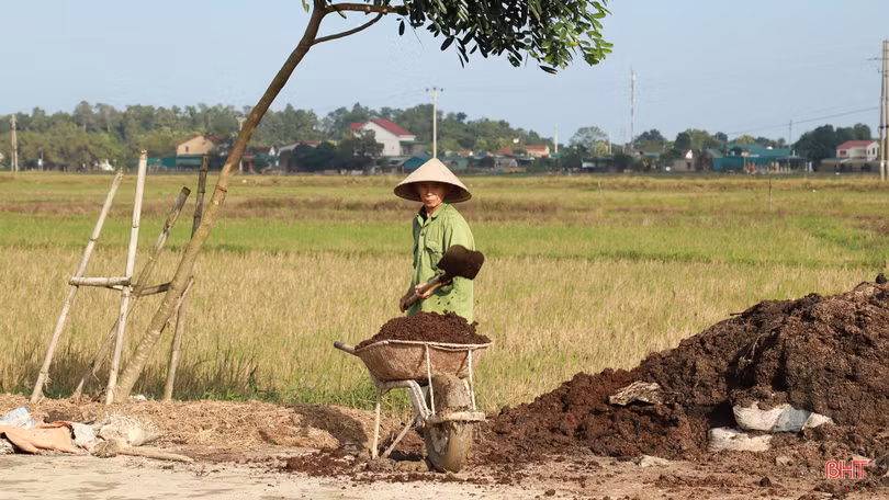 Làng rau La Xá “cướp nắng” chạy đuổi vụ đông