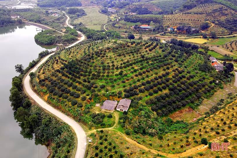 Tạo giá trị bền vững trong xây dựng nông thôn mới ở Hà Tĩnh