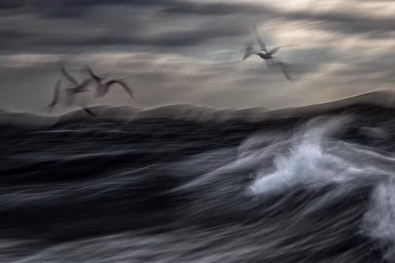 Thiên nhiên tuyệt đẹp trong loạt ảnh đoạt giải Nature Photographer of the Year 2020
