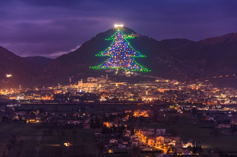 Cây thông Noel có kích thước gần bằng ngọn núi