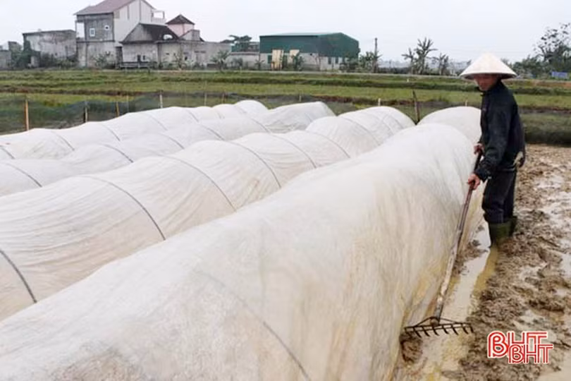Hà Tĩnh sẵn sàng với kịch bản vụ xuân lạnh”
