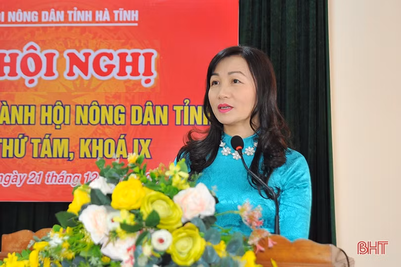 Bà Nguyễn Thị Mai Thủy giữ chức Chủ tịch Hội Nông dân Hà Tĩnh