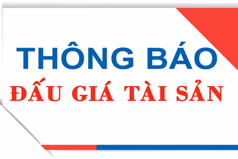 dau-gia.jpg