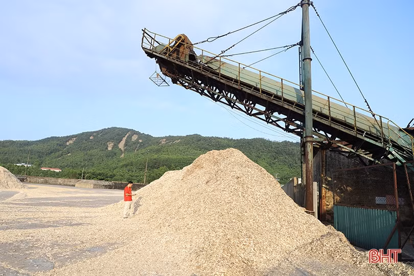Xuất khẩu Hà Tĩnh tăng trưởng ấn tượng, hướng đến 1,3 tỷ USD năm 2021