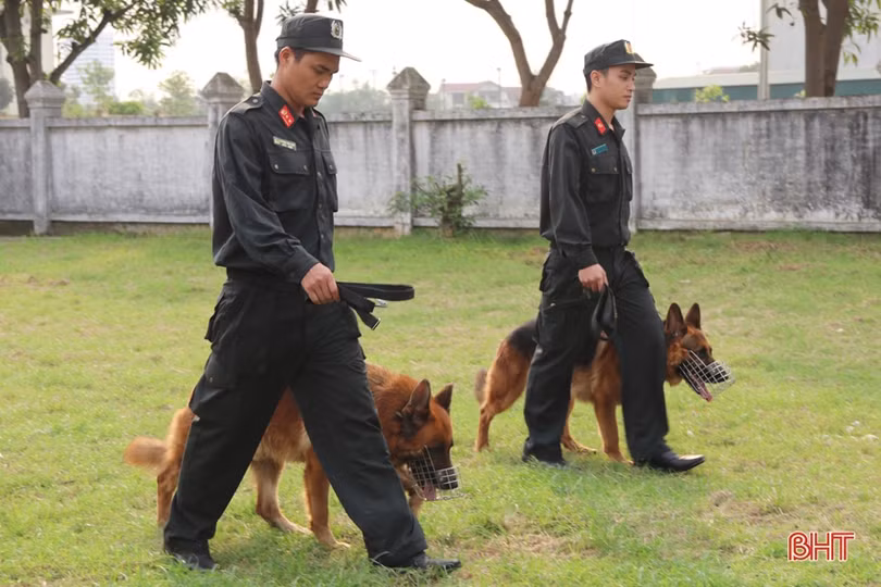 Xem cảnh sát cơ động Hà Tĩnh biểu diễn trấn áp tội phạm cùng chó nghiệp vụ