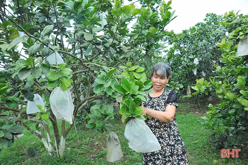 Vẻ đẹp bình yên của khu dân cư mẫu nơi biên giới Hà Tĩnh