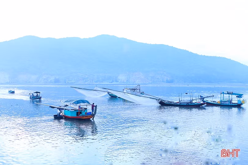 Hải sản dễ bán trong dịp lễ, ngư dân Hà Tĩnh phấn khởi vươn khơi