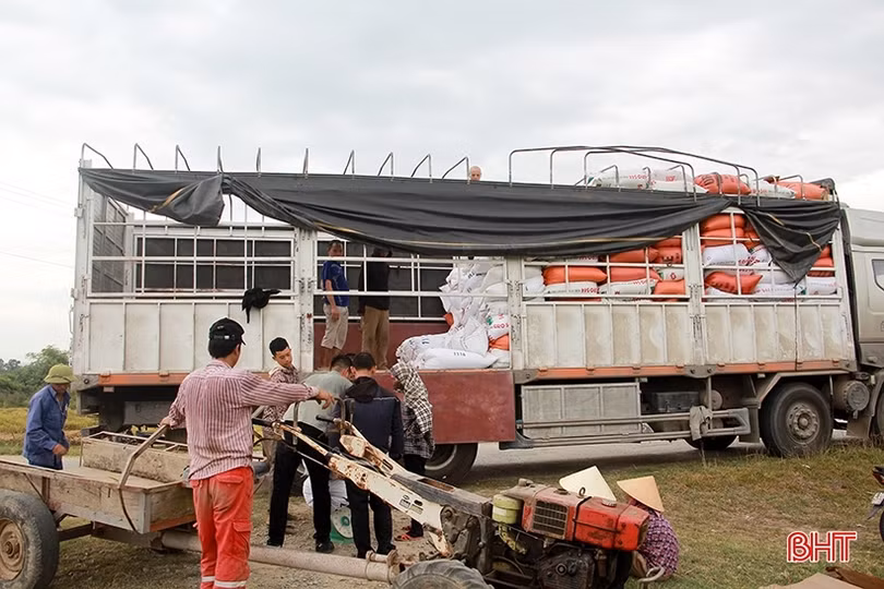 Nông dân Hà Tĩnh thu hoạch sớm lúa hè thu