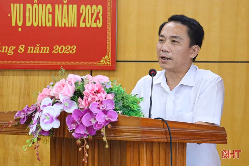 Hà Tĩnh phấn đấu diện tích gieo trồng vụ đông 2023 đạt gần 11.900 ha