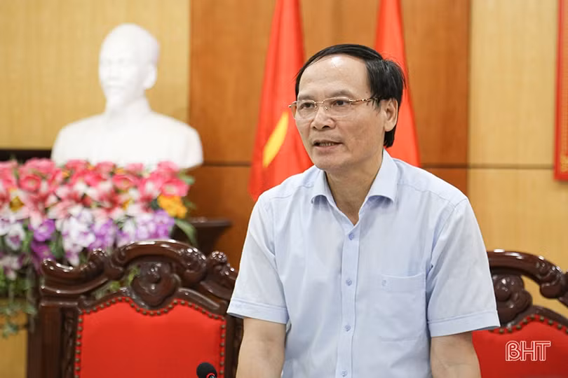 Hà Tĩnh phấn đấu diện tích gieo trồng vụ đông 2023 đạt gần 11.900 ha