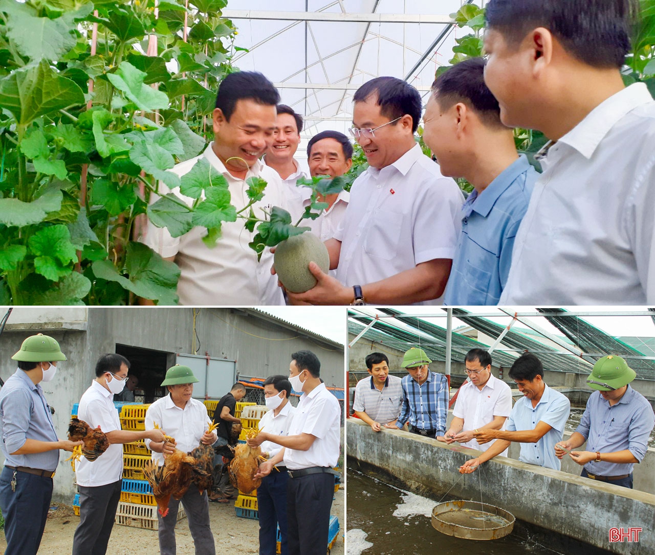 Lộc Hà vững bước trên hành trình vươn lên giàu đẹp