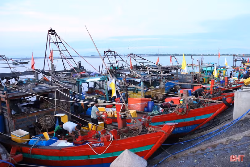 Hải sản dồi dào đáp ứng nhu cầu trong kỳ nghỉ lễ ở Hà Tĩnh