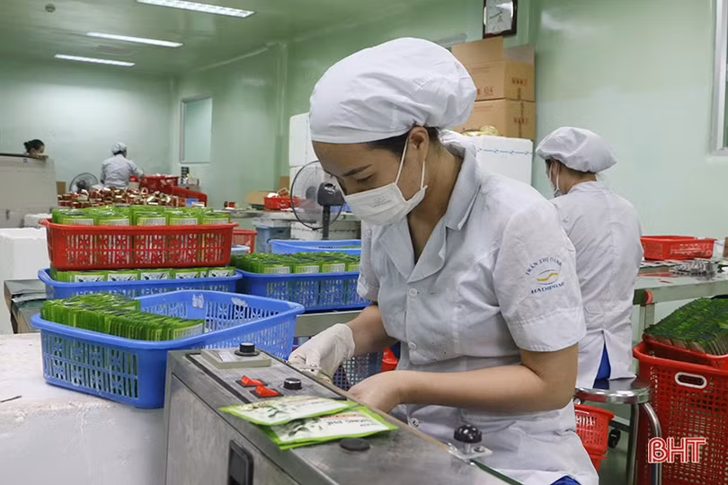 Người đóng góp quan trọng cho thương hiệu “Dược Hà Tĩnh”