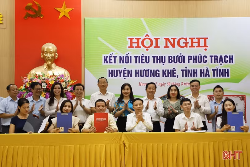 Đặc sản bưởi Phúc Trạch vào mùa