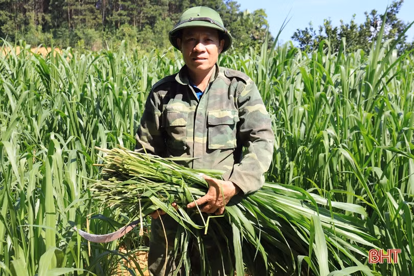 Cựu Bí thư Đảng uỷ xã và hành trình “ăn nên làm ra” từ nghề nuôi hươu