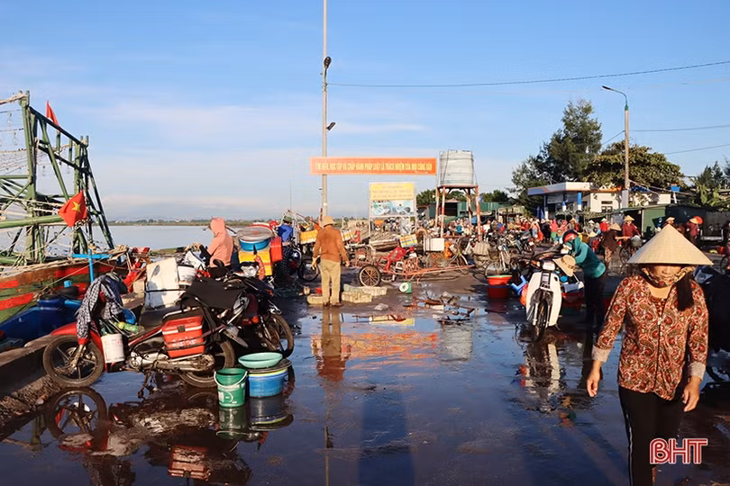 Thuyền về, tôm cá đầy khoang...