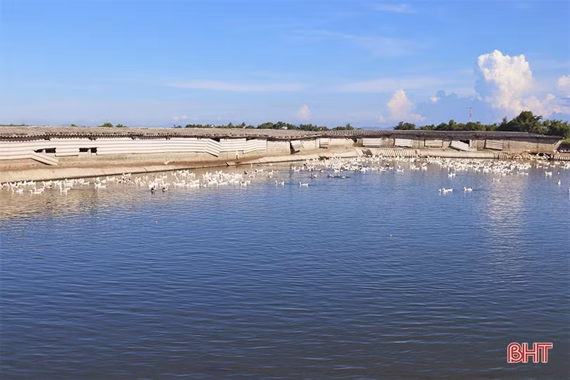 Sức sống mới trên vùng quê cách mạng ở Hà Tĩnh