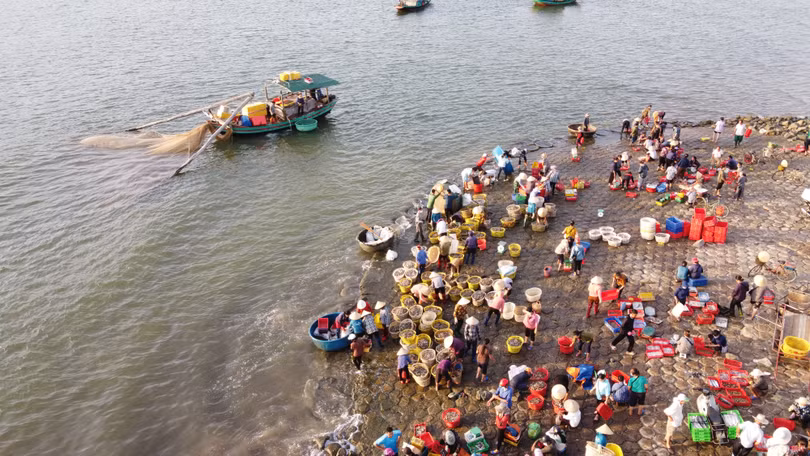 Thuyền về, tôm cá đầy khoang...