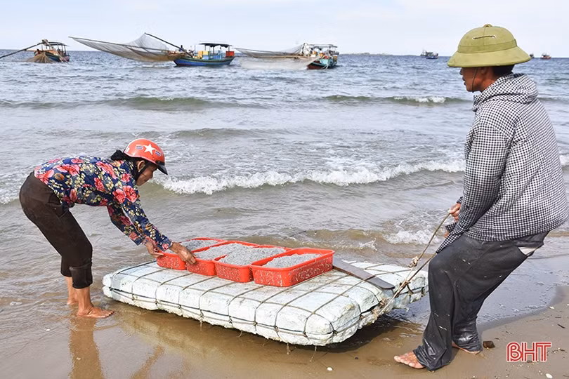 Thuyền về, tôm cá đầy khoang...