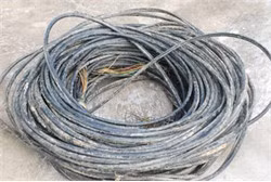 Ảnh minh họa từ internet