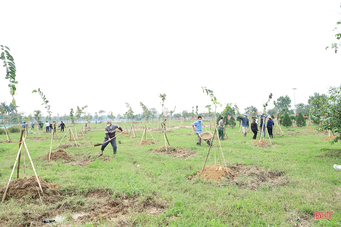 Lãnh đạo tỉnh tham gia trồng cây xanh tại thành phố Hà Tĩnh