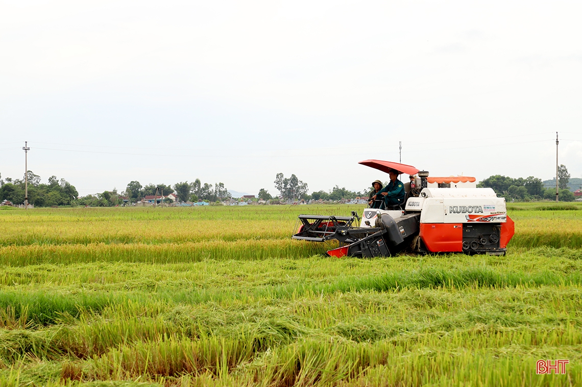 Nhìn nhận đúng tiềm năng, hạn chế để có giải pháp phát triển nông nghiệp Hà Tĩnh