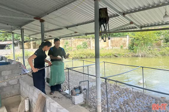 Nông nghiệp tuần hoàn - hướng đi bền vững cho nông dân