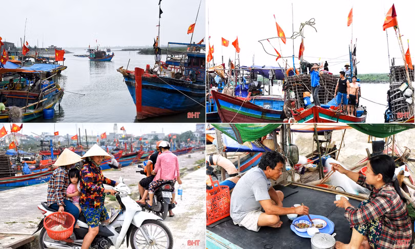 “Bỗng nhoài ra biển…”