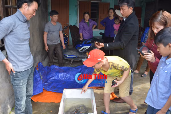 video ngu dan ky anh bat duoc rua bien nang 7 kg