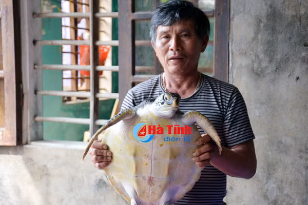 video ngu dan ky anh bat duoc rua bien nang 7 kg