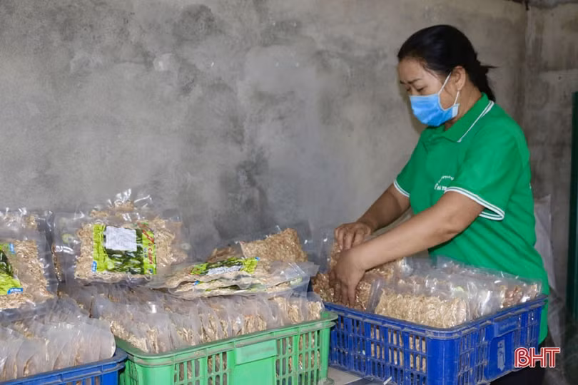 Sản phẩm củ cải sấy ở Cẩm Xuyên: sản xuất tới đâu, bán hết tới đó!