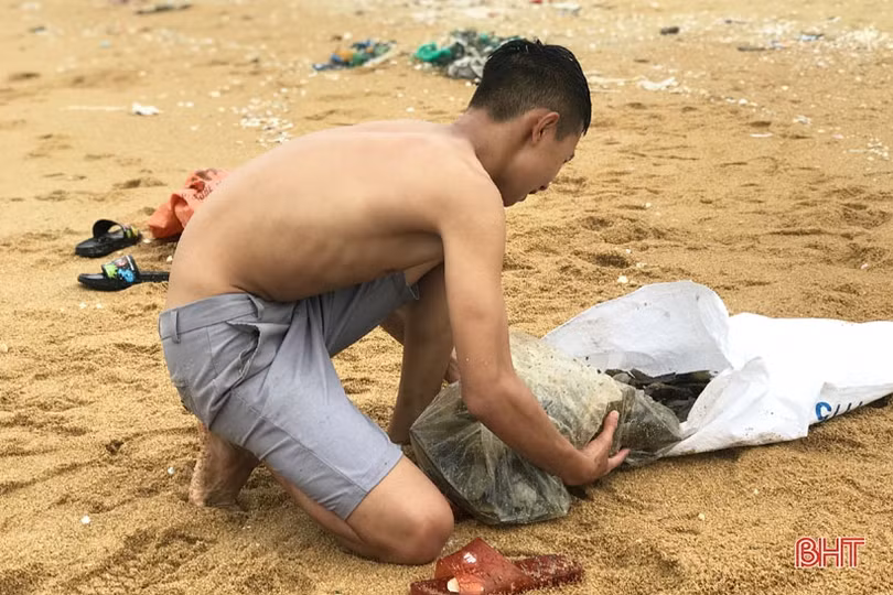 Sò mai trôi dạt vào bờ biển, người dân Cẩm Xuyên rủ nhau đi gom